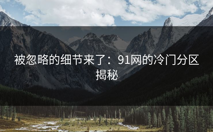 被忽略的细节来了：91网的冷门分区揭秘